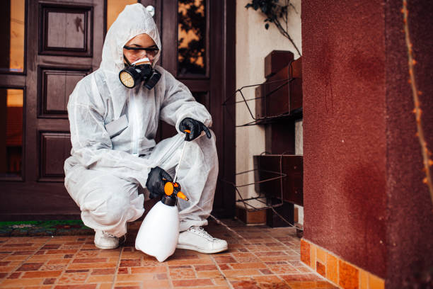 Attic and Crawl Space Rodent Treatment in Sea Ranch